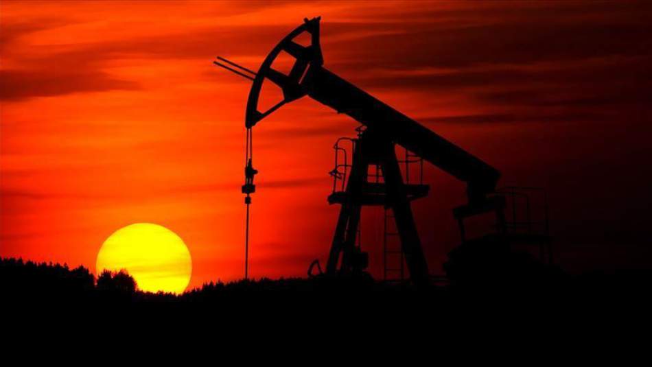 Cezayir ve Nijerya Enerji Alanında İş Birliğini Görüştü