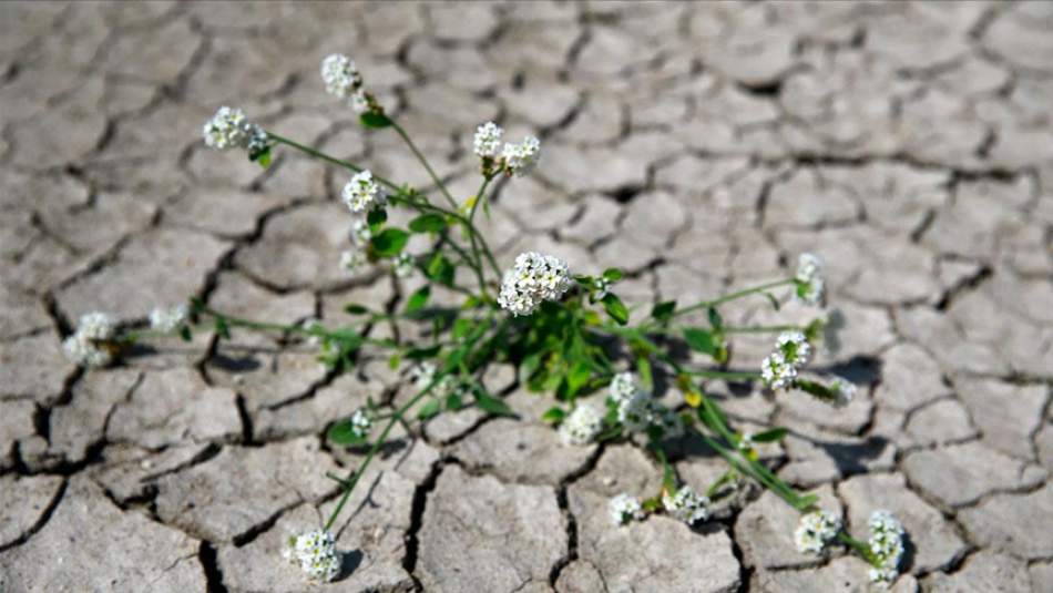 Dünya Meteoroloji Örgütü, Su Sıkıntısı Çekenlerin Sayısının Artacağını Açıkladı